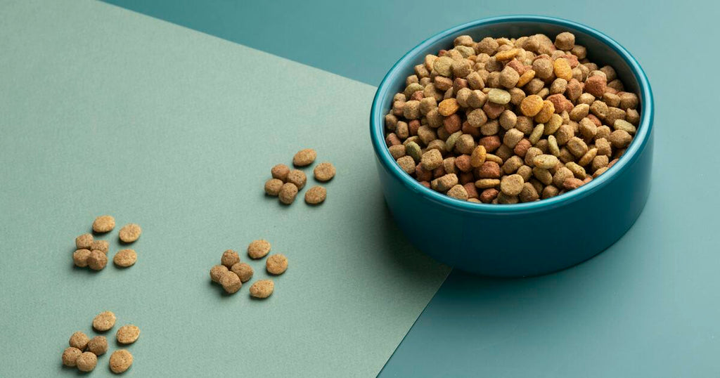 The Evolution of Pet Food: From Kibble, Canned and Raw