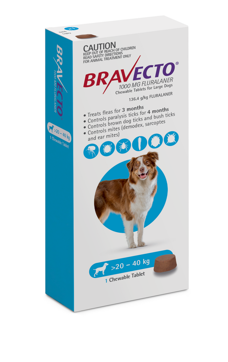 Bravecto Chew for Large Dogs 20 40kg Flea Tick Defense Pet PA NZ