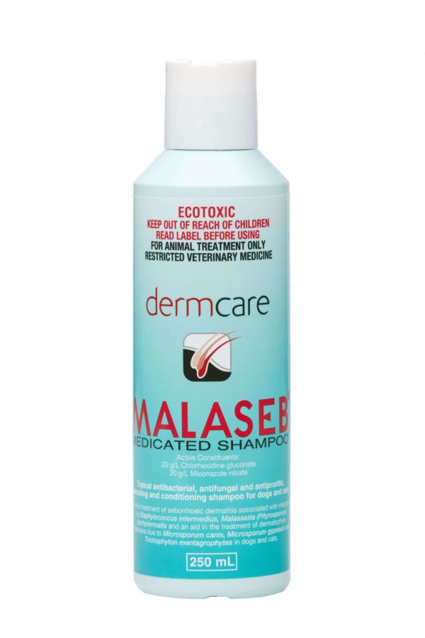 Malaseb Shampoo (250ml Bottle) Prescription Required Your Pet PA NZ
