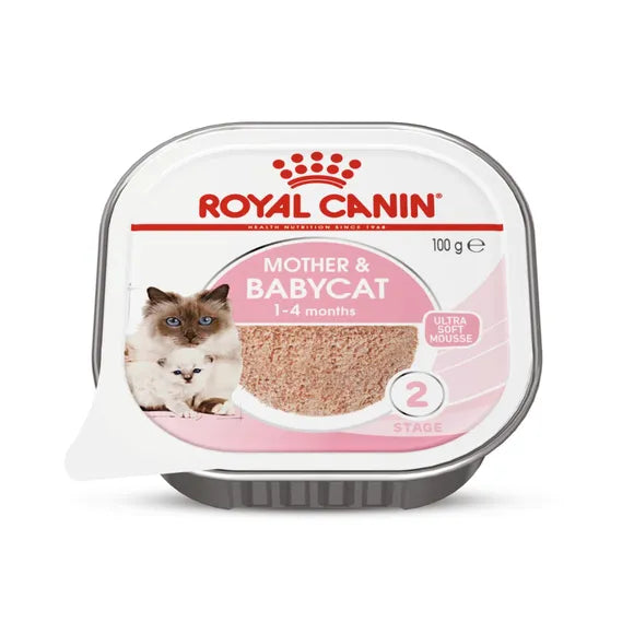 Royal canin mother hot sale and baby mousse