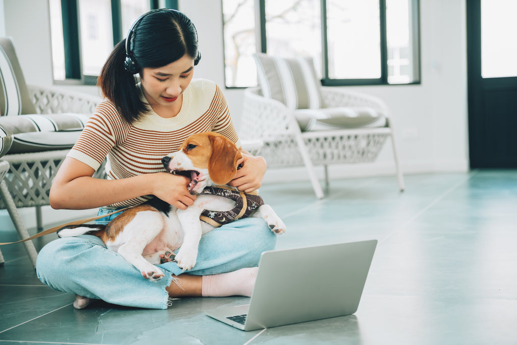 7 Benefits of an Online Veterinary Consultation