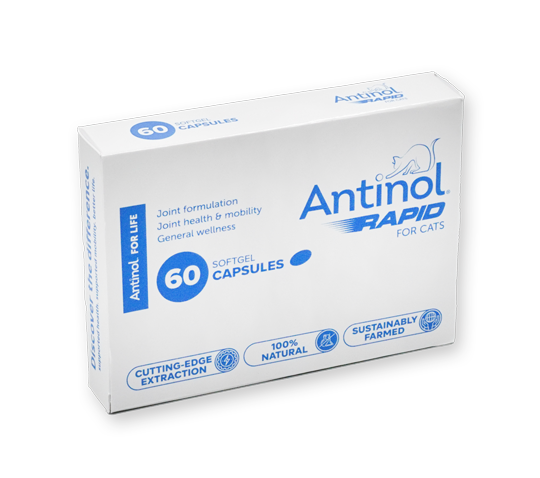Antinol top for cats