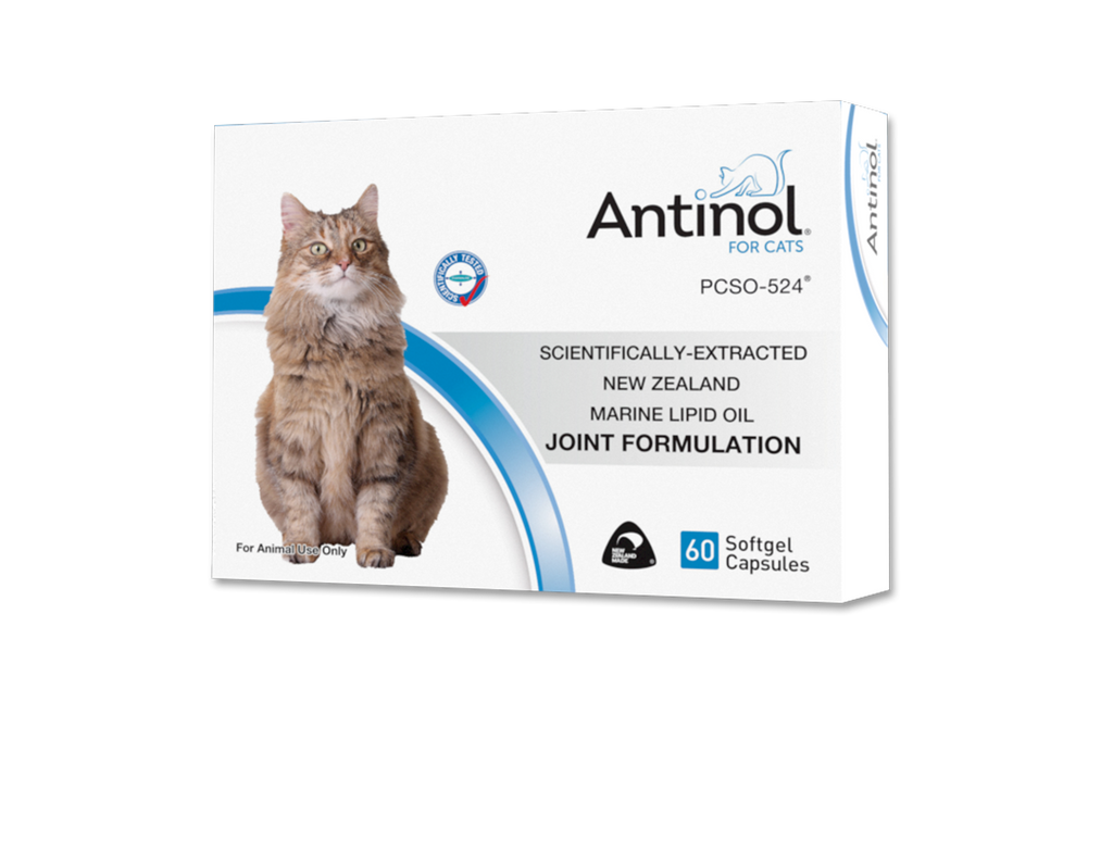 Apoquel 5.4 sales mg for cats