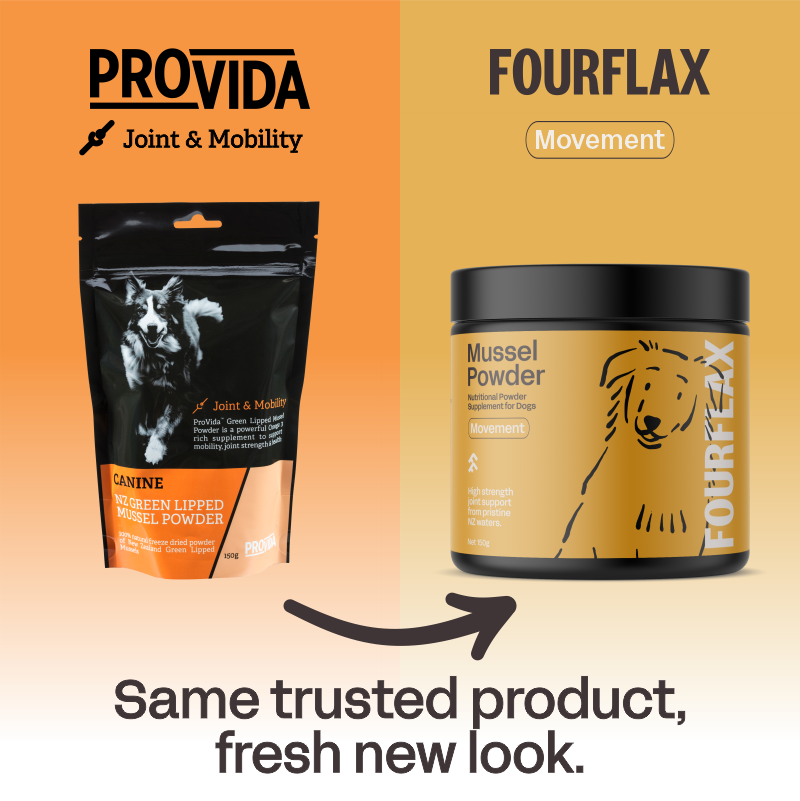 ProVida (Fourflax) Canine Mussel Powder - Joint Support for Dogs – Pet ...
