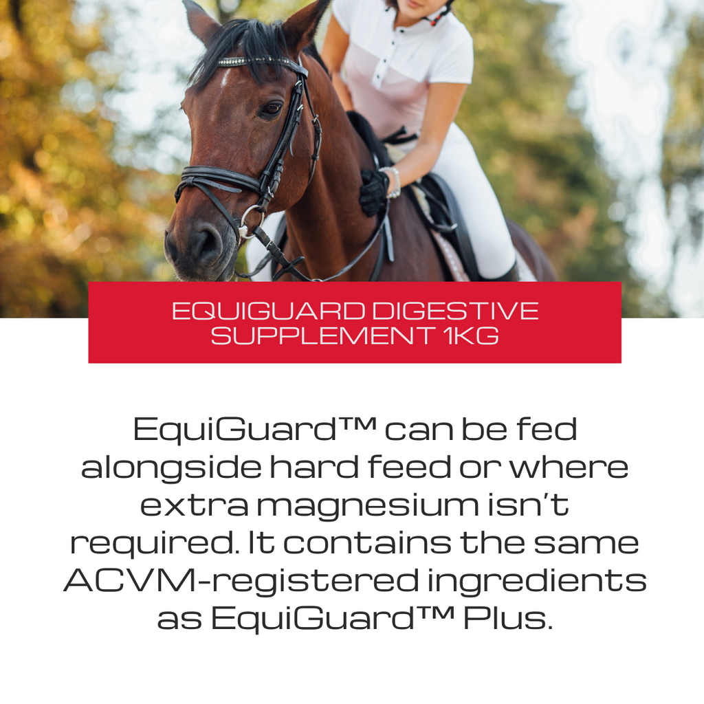 EquiGuard™ Digestive Supplement YourPetPA