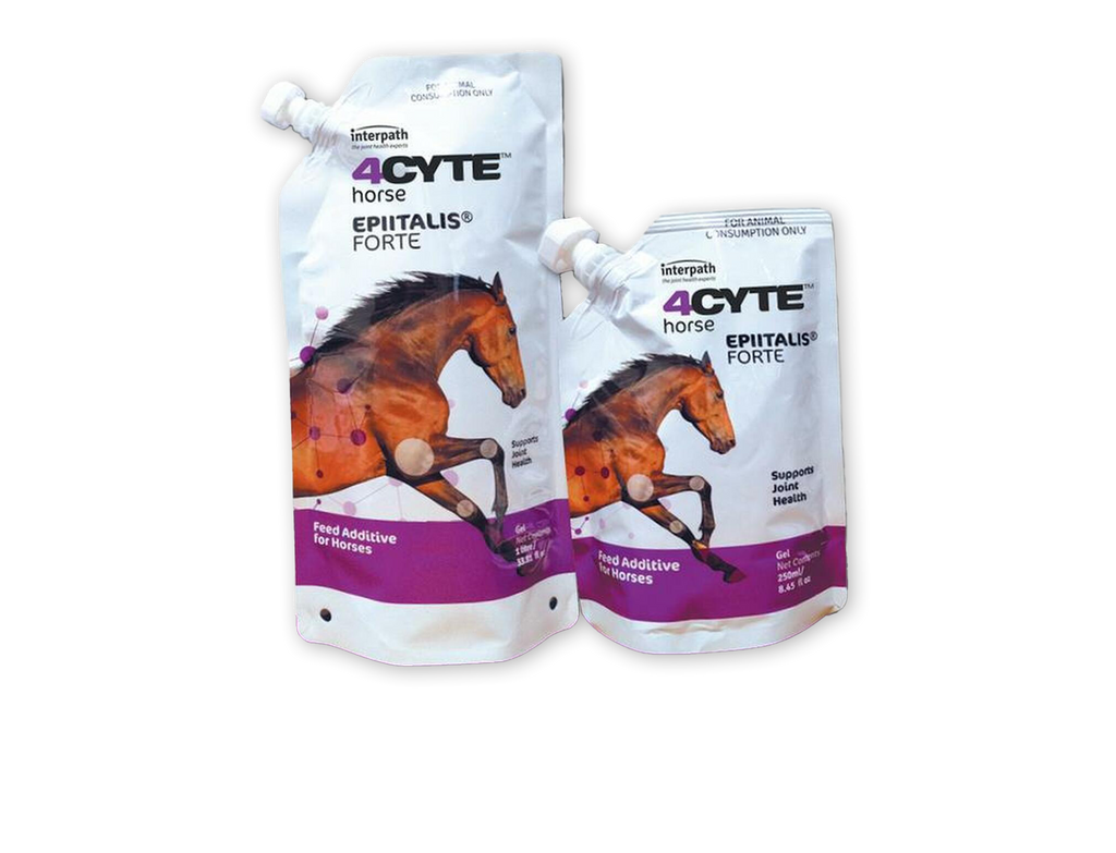 Bio-Sponge for Horses, Horse Digestive Supplement