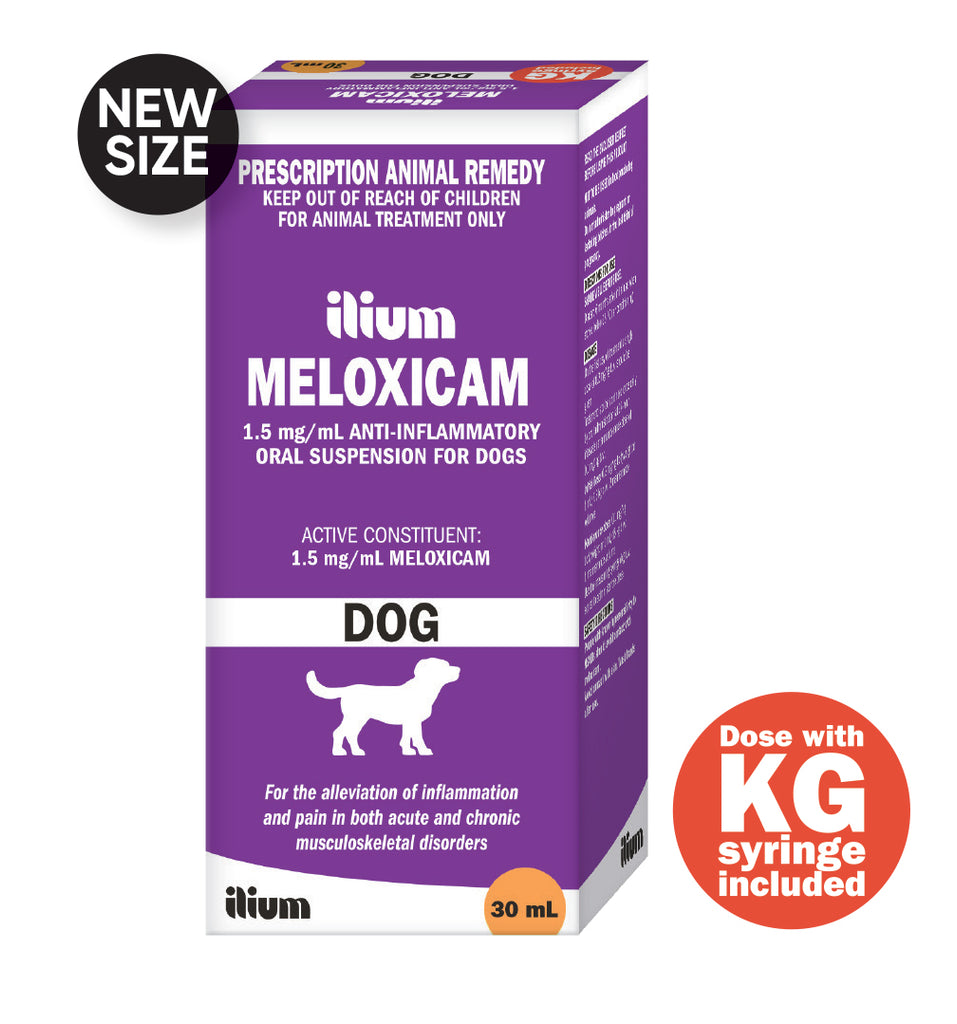 Meloxicam Ilium Dog 30ml - Your Pet PA NZ