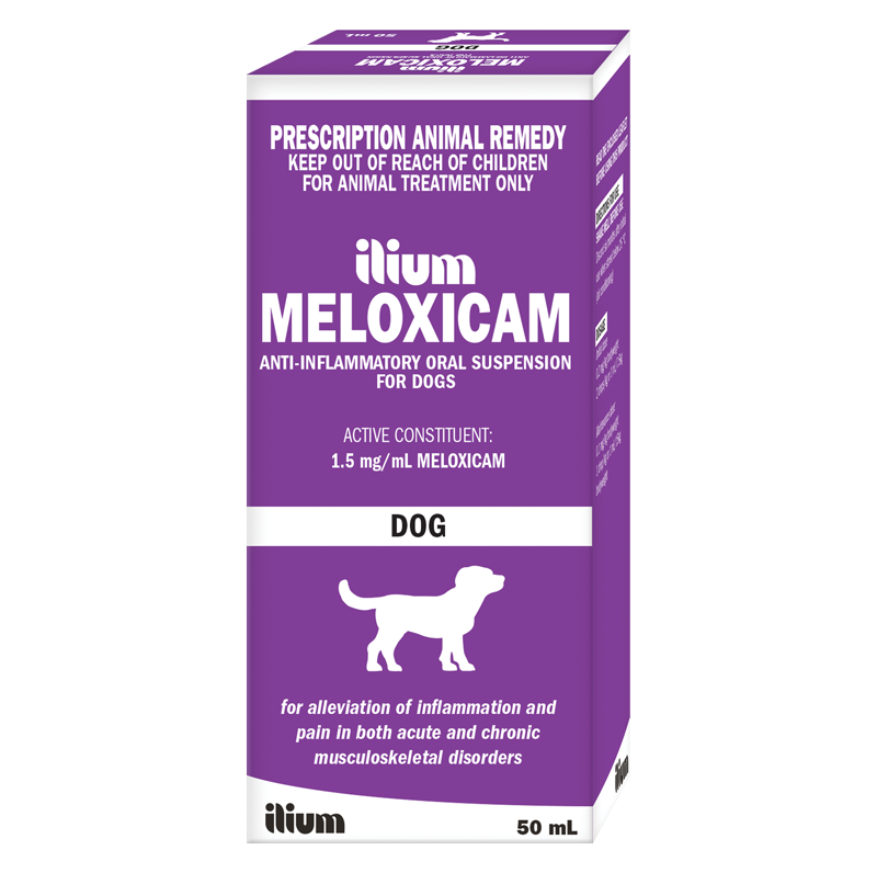Meloxicam Ilium Dog 50ml - Your Pet PA NZ