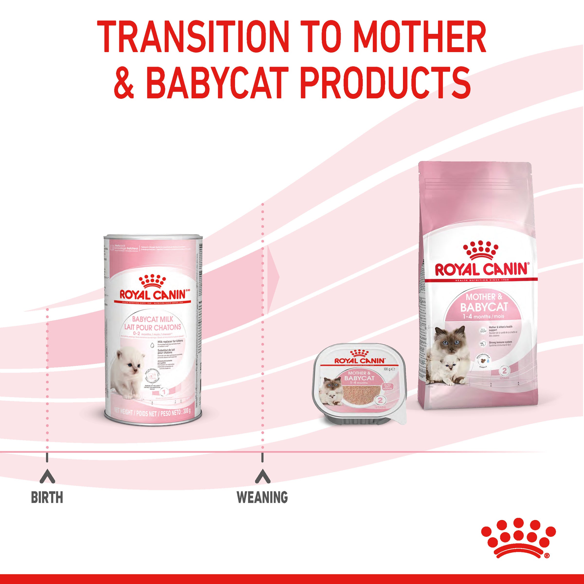 Royal Canin Babycat Milk 300g – Pet PA NZ - Main Image