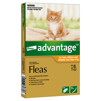 Elanco Advantage Kittens and Rabbits less than 4kg 6pk - Front - Your Pet PA NZ