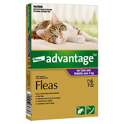 Elanco Advantage Large Cats & Rabbits over 4kg 6pk - Front - Your Pet PA NZ