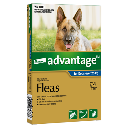 Elanco Advantage Dog over 25kg 4pk - Front - Your Pet PA NZ
