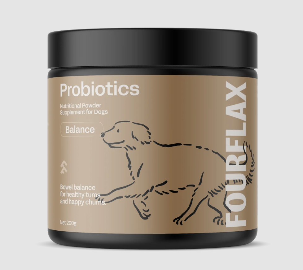 Probiotic digestive online balance for dogs