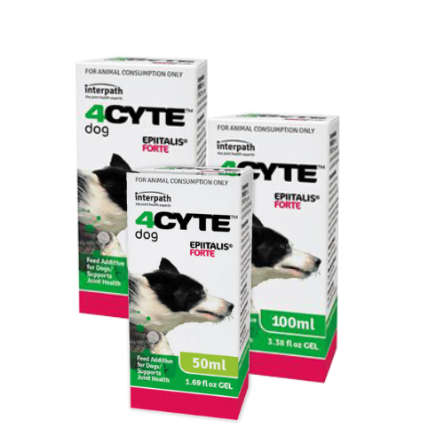 4cyte epiitalis forte hot sale gel for dogs
