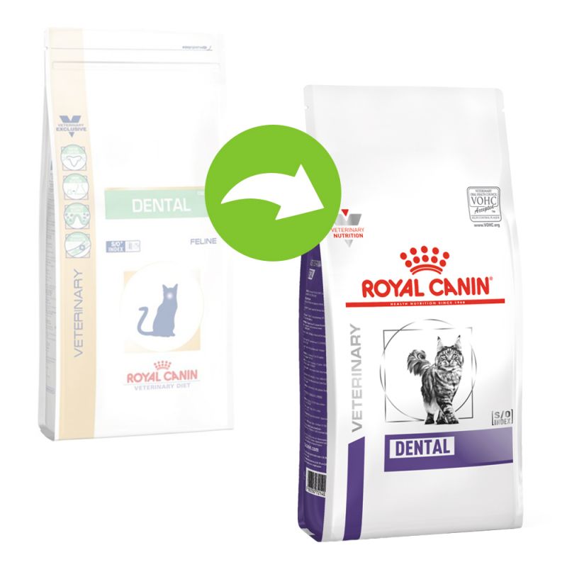 Royal canin top dental cat