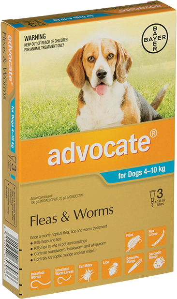Advocate Dog Medium Aqua 4 10kg Flea Worm Treatment Your Pet