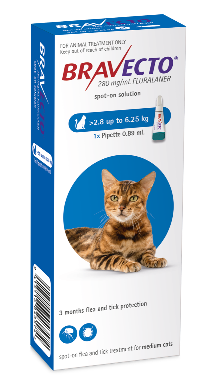 3 month flea meds for cats 2025