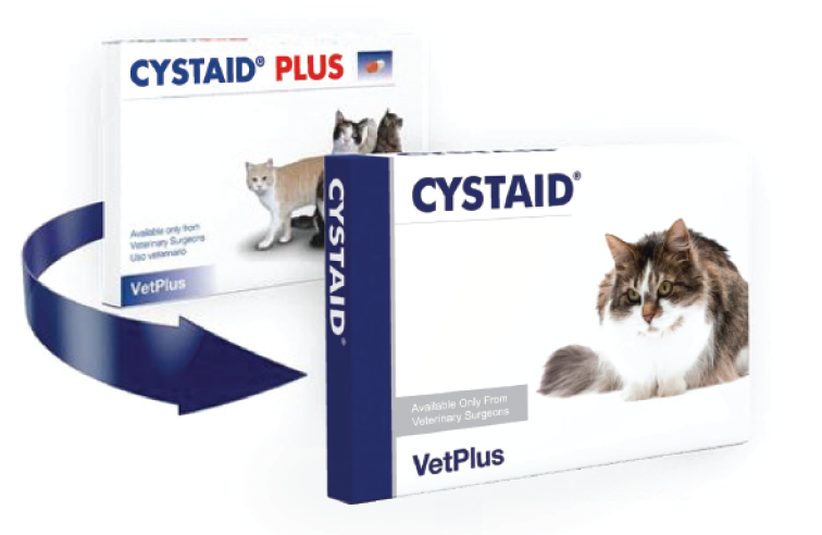 Cystaid plus deals capsules for cats