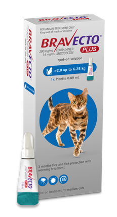 Bravecto medium clearance