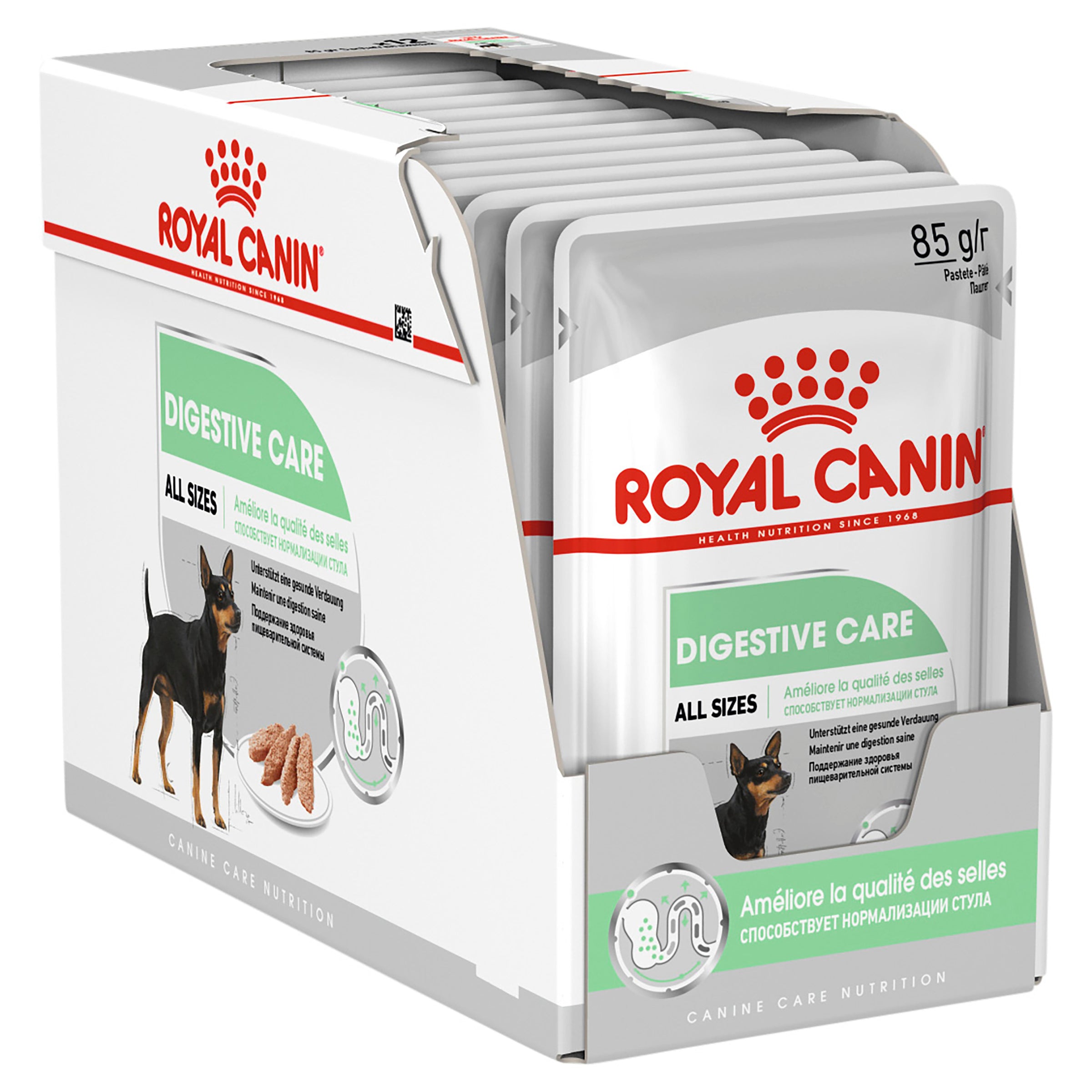 Royal canin digestive sales care dog food