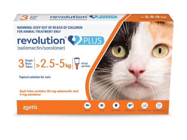 Revolution flea and 2024 tick for cats