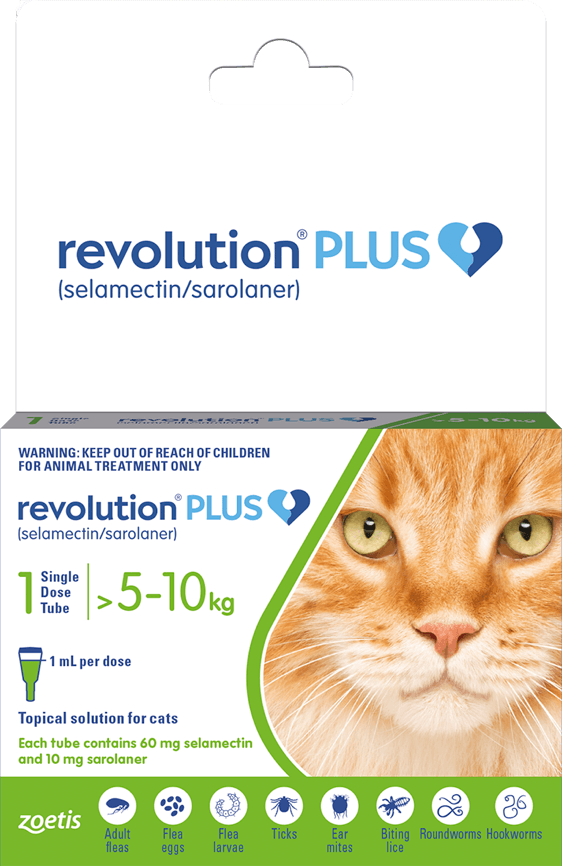 Revolution plus for cats best deals price