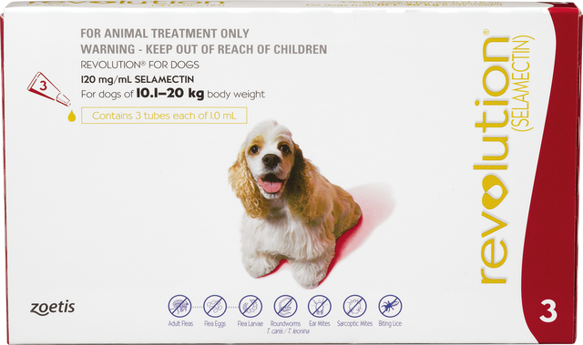 Revolution online red dog