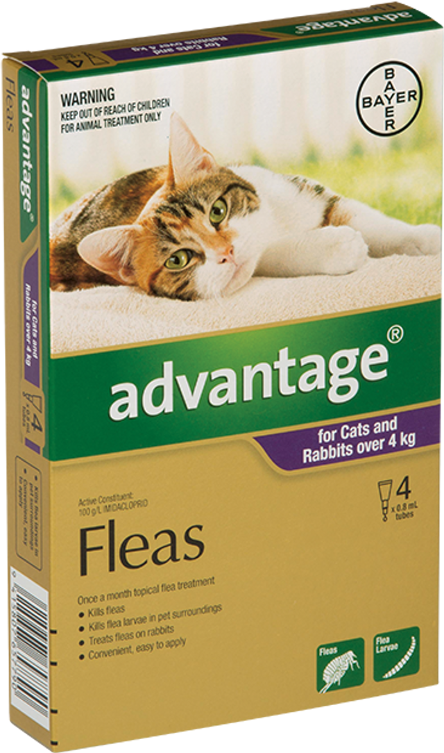 Advantage online flea killer