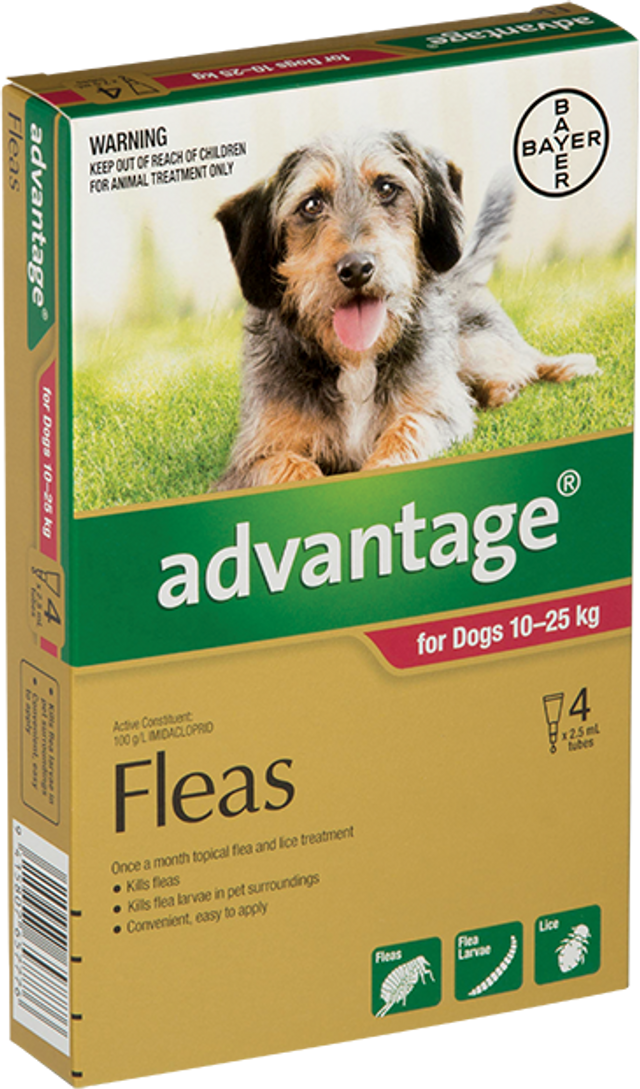 Advantage Dog Large Dog 10 25kg Flea Treatment 4 pack Your Pet