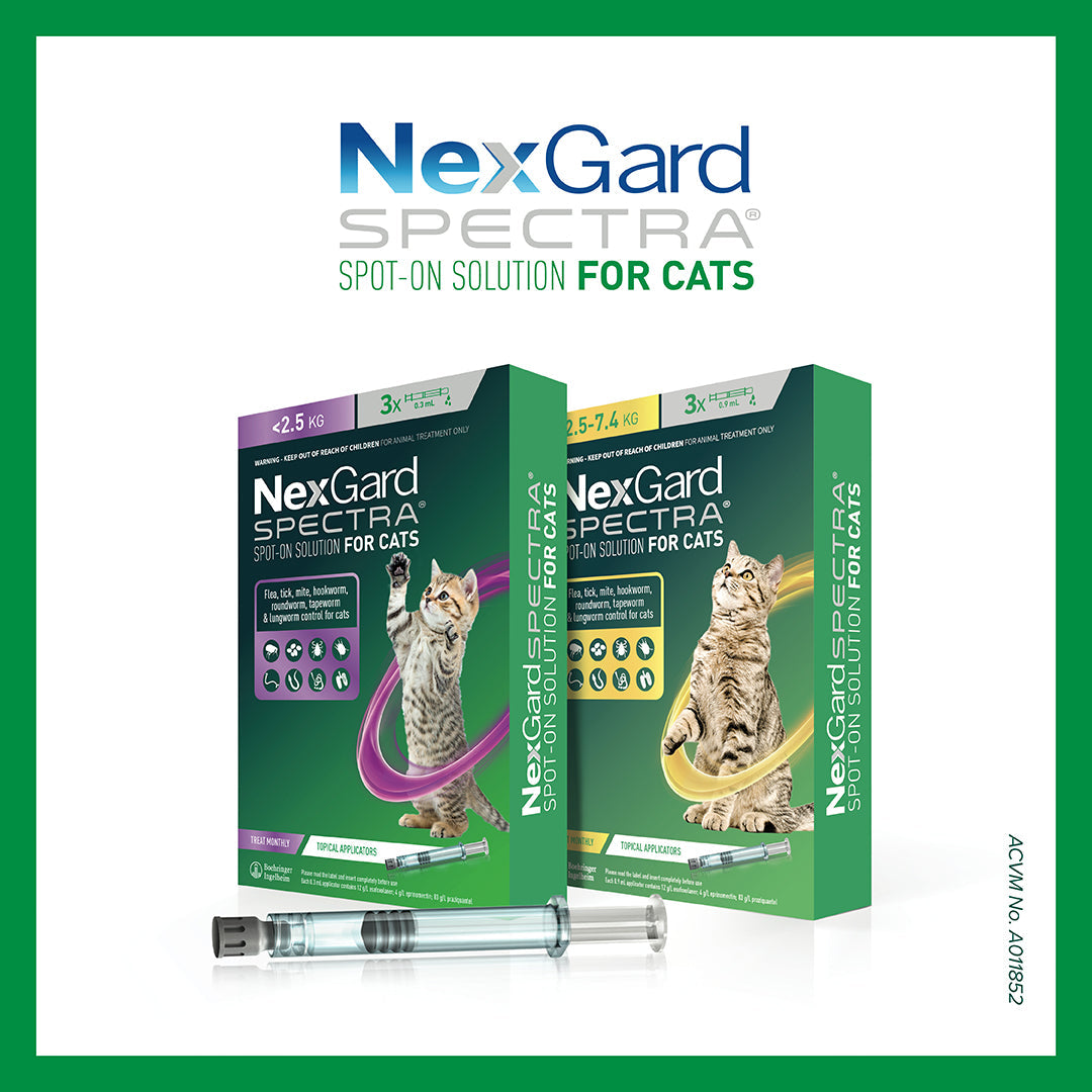 Nexgard spectra deals for cats