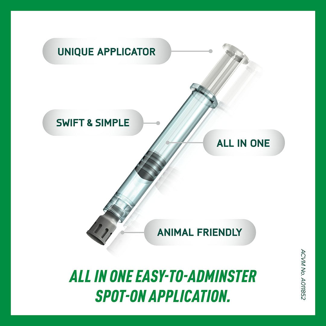 Bydureon Dual Chamber Pen