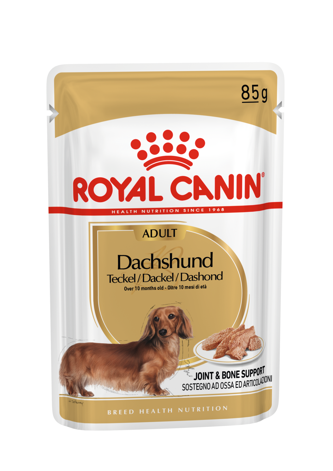 Dachshund top anxiety medication