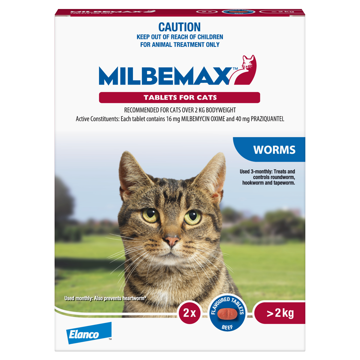 Cat 2024 worming tablets