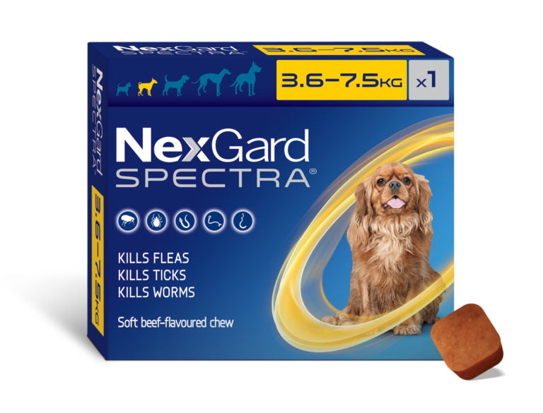 Nexgard spectra small dog best best sale price